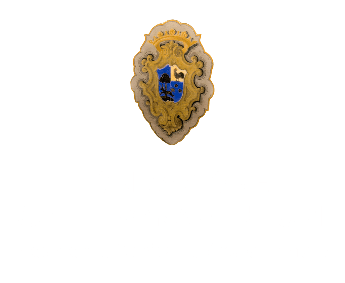 Logo Fondazione Galli Bonventuri - RSA - centrale WHITE