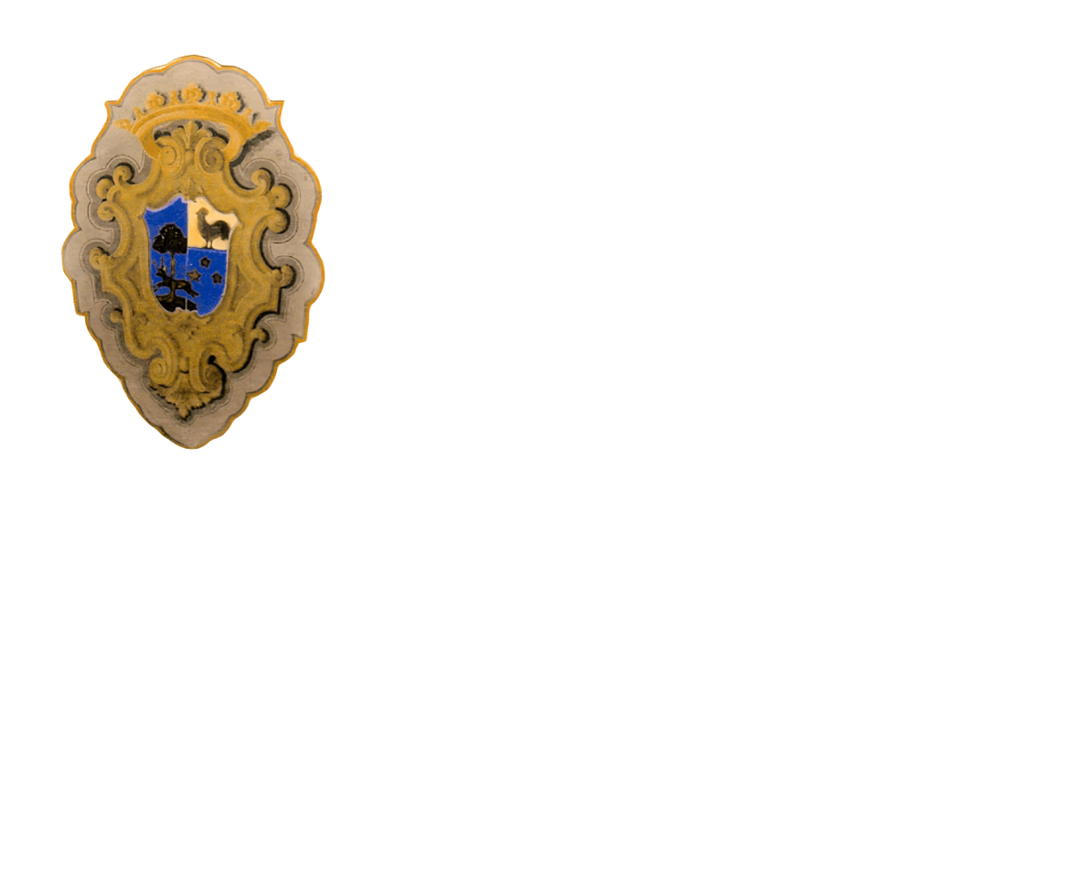 Logo Fondazione Galli Bonventuri - RSA - verticale WHITE
